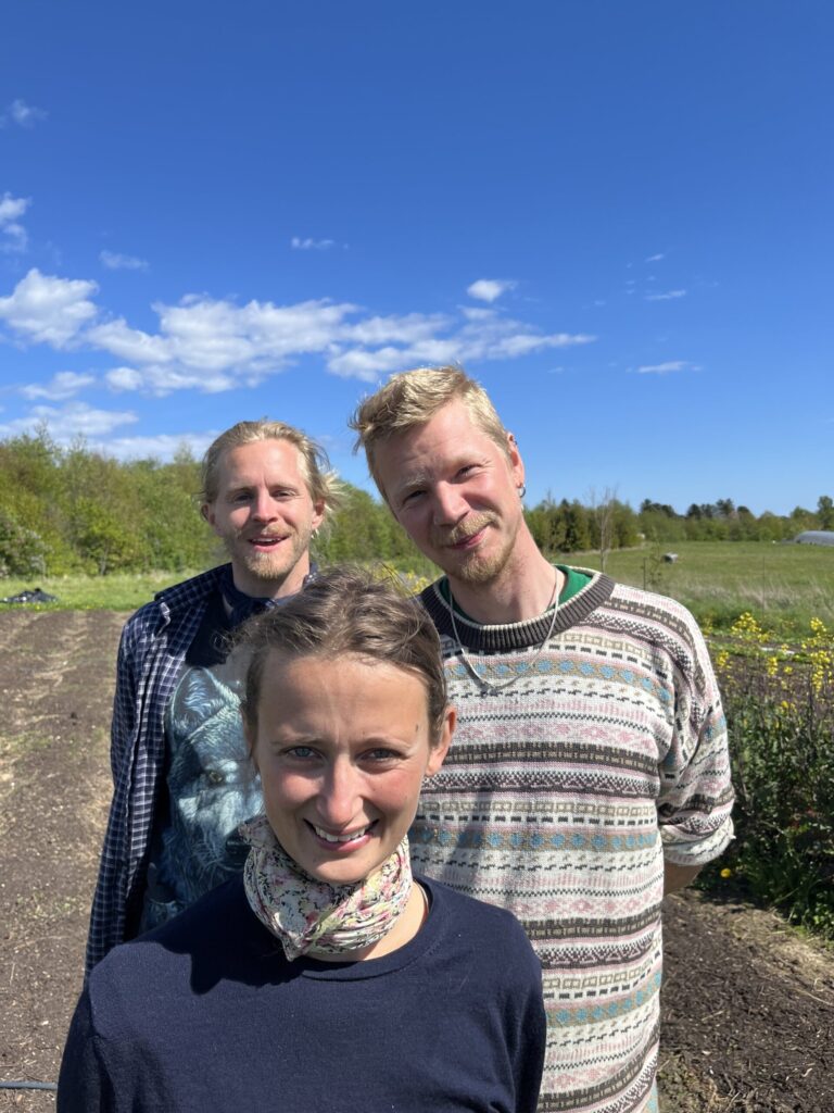 Jordbruget Soldug